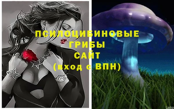 круглые Алексин