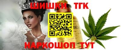 винт Сланцы
