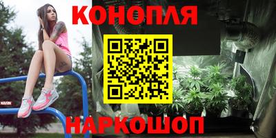 винт Сланцы