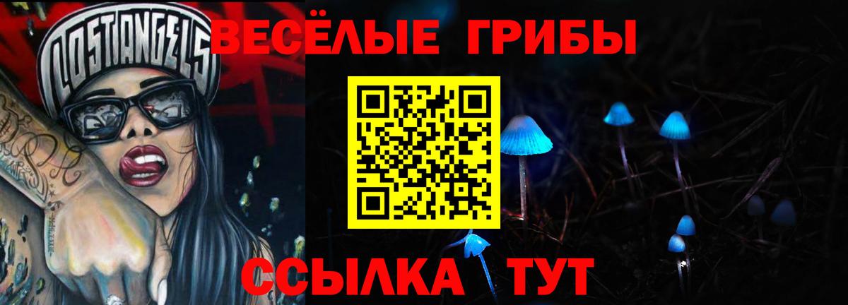 Галлюциногенные грибы Psilocybe  Вход с VPN  Ревда  Псилоцибиновые грибы Psilocybine cubensis 